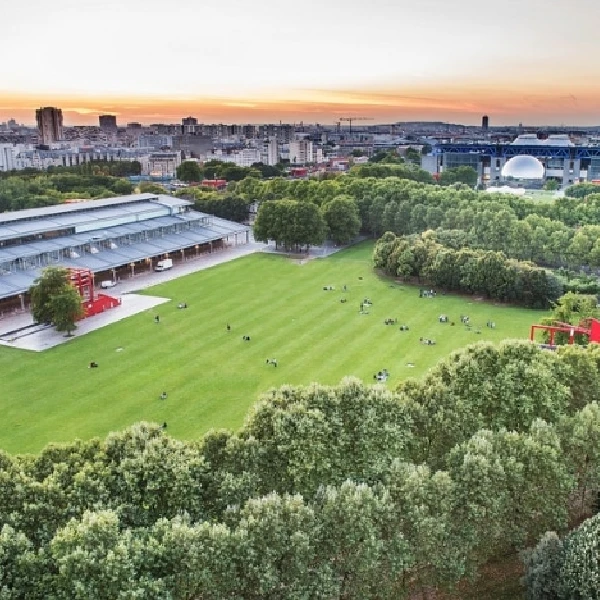 NETMG+_Rectangle_922